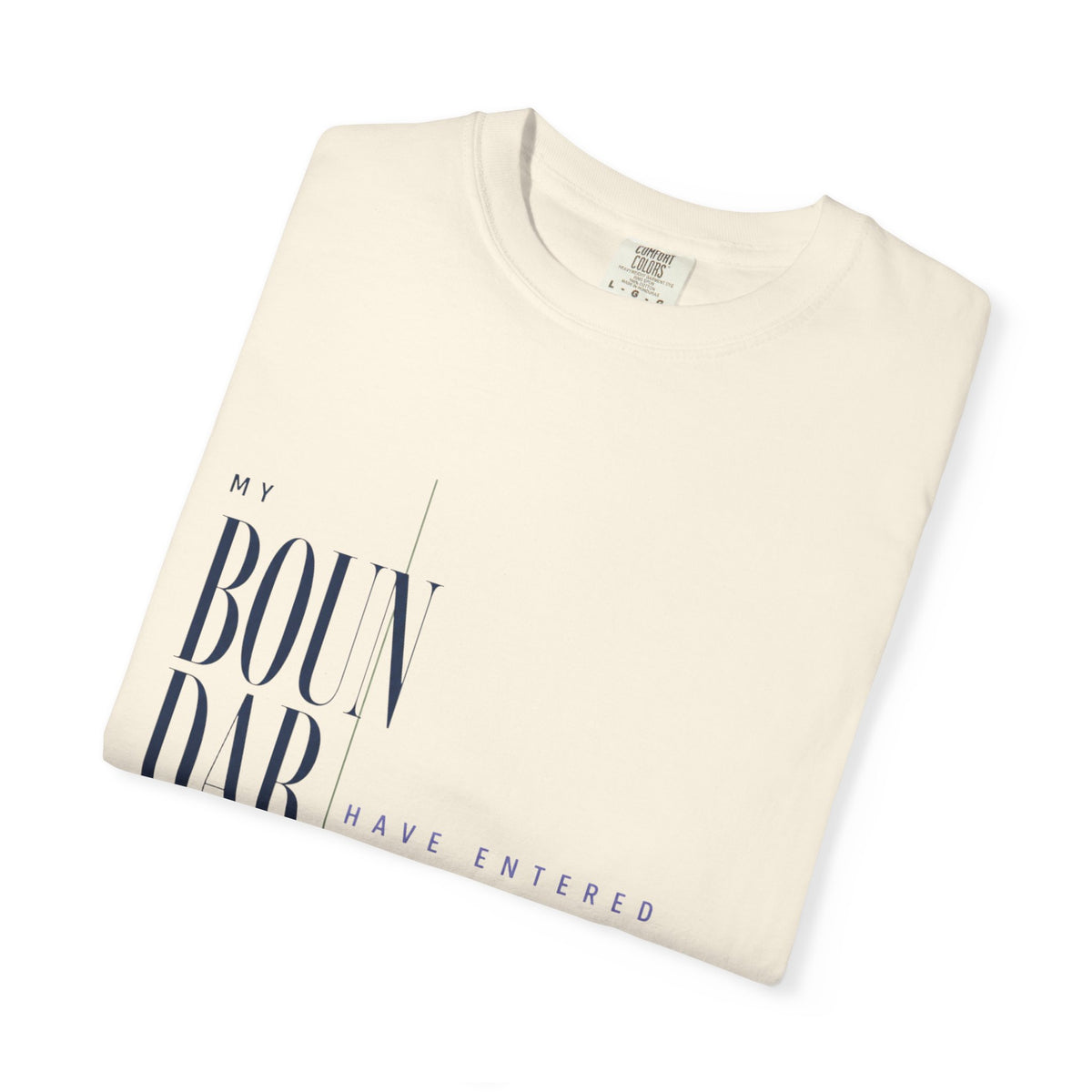 My Boundaries Have Entered the Chat. | Graphic T-Shirt