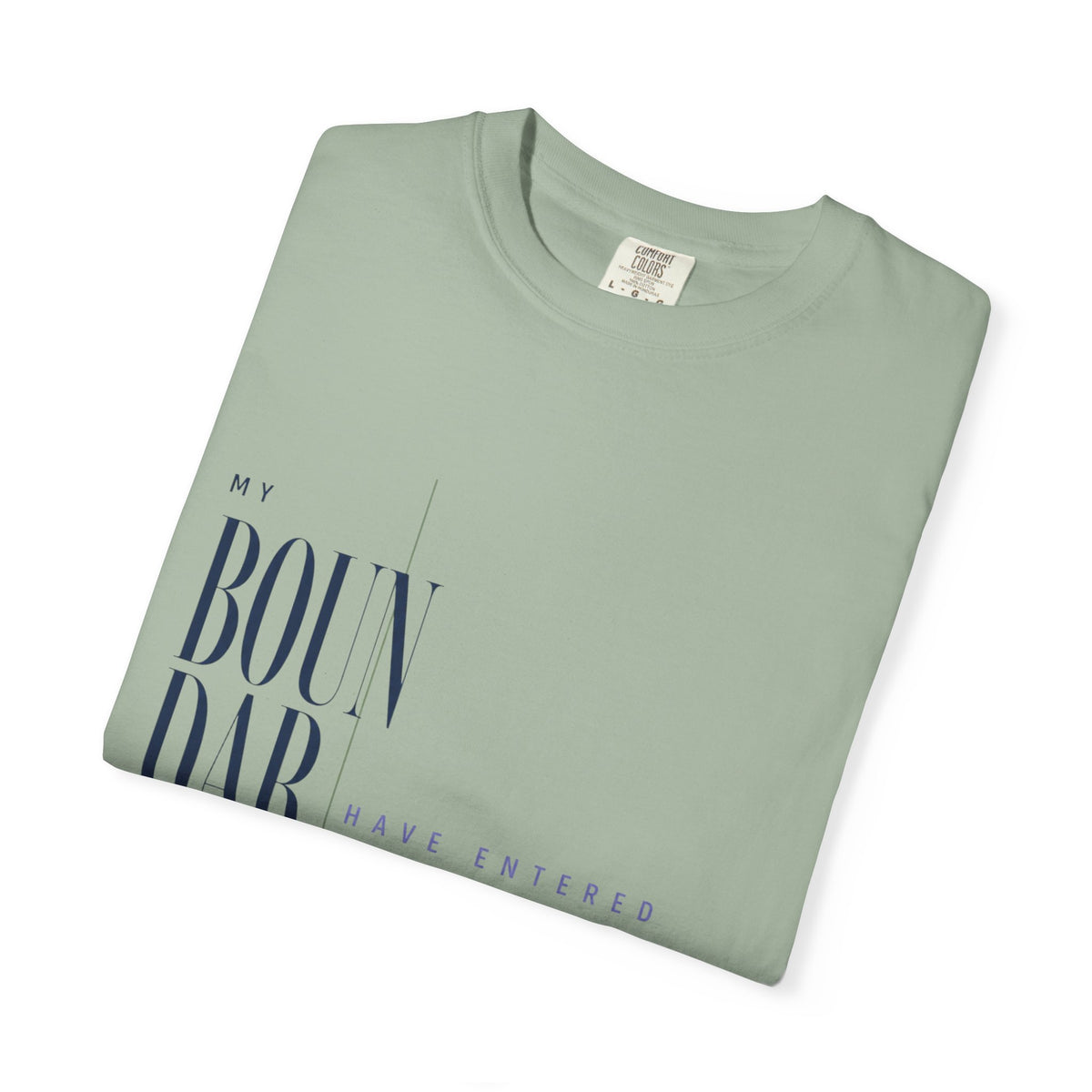 My Boundaries Have Entered the Chat. | Graphic T-Shirt