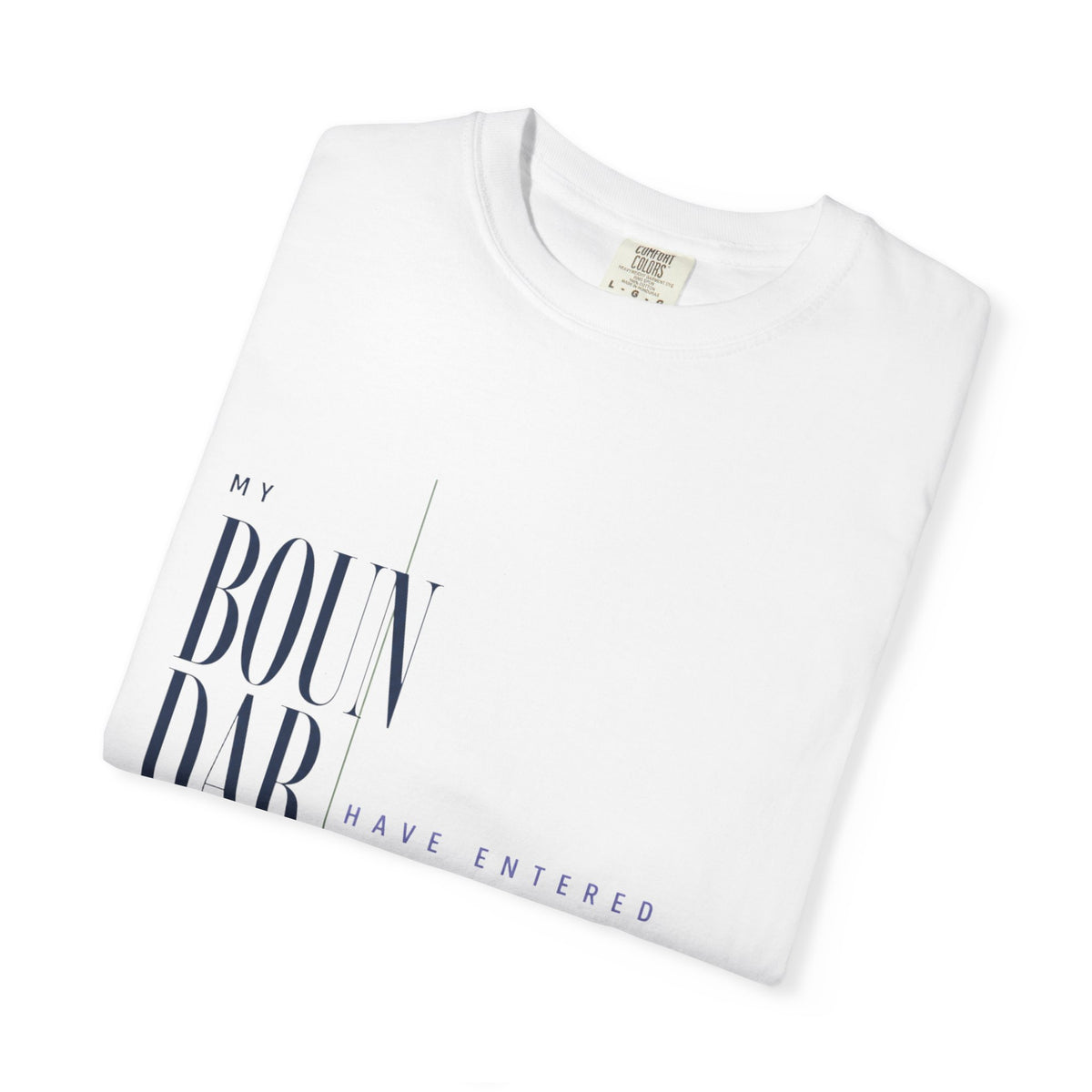 My Boundaries Have Entered the Chat. | Graphic T-Shirt