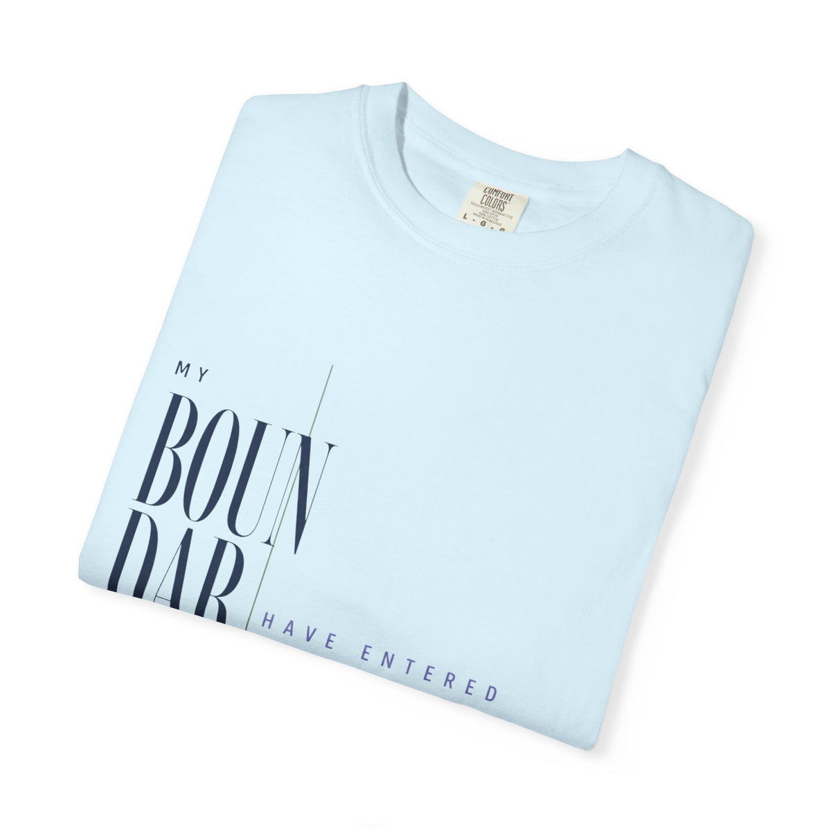 My Boundaries Have Entered the Chat. | Graphic T-Shirt