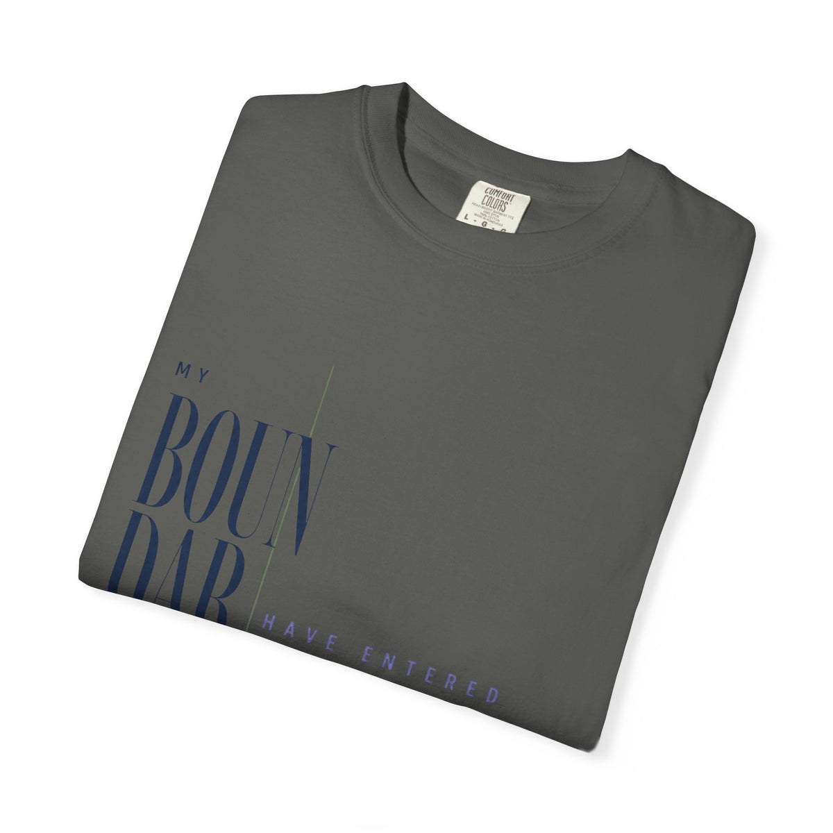 My Boundaries Have Entered the Chat. | Graphic T-Shirt